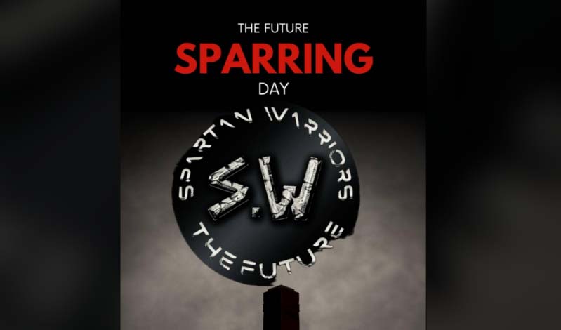 spartan warriors sparring