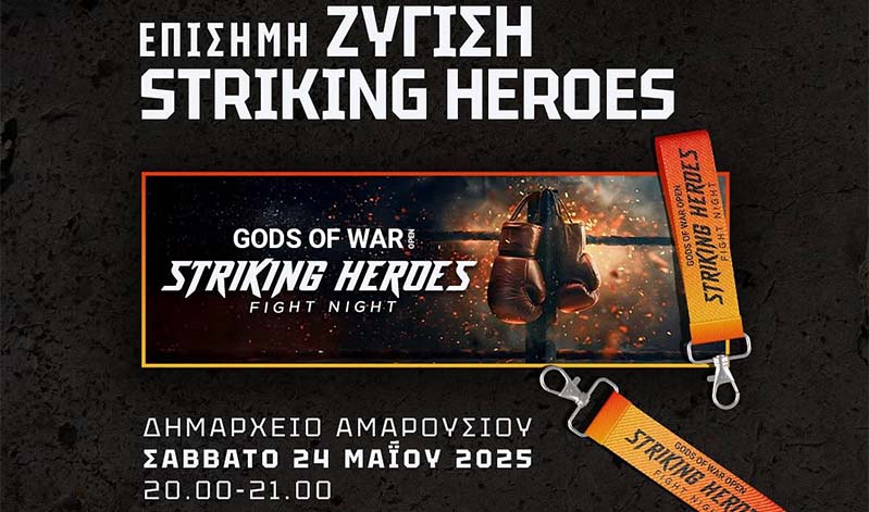 striking heroes zygisi