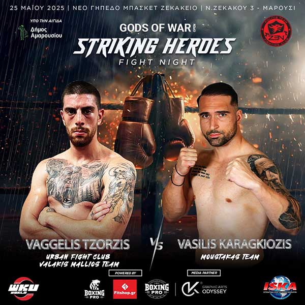 vaggelis tzorzis vasilis karagkiozidis striking heroes afisa