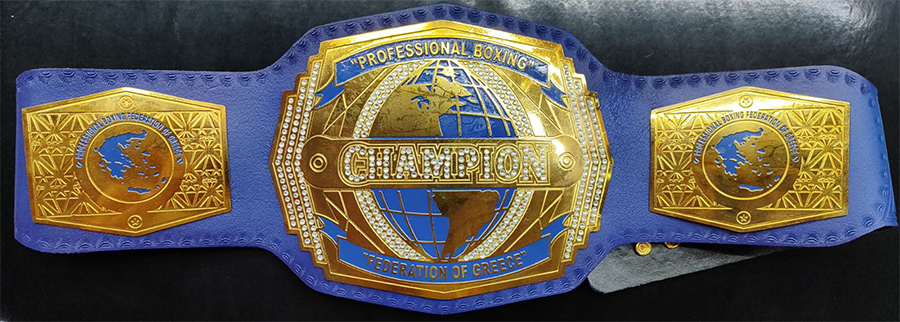 zonh epaggelmatikhs pygmaxias 9