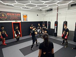 Ζητείται Προπονητής-τρια για μόνιμη εργασία σε Σχολή ΜΜΑ στη Γερμανία!